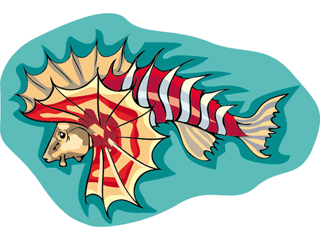 Others fish graphics