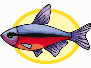 Others fish graphics