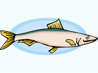 Others fish graphics