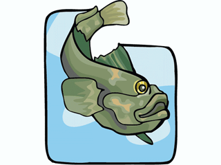 Others fish graphics