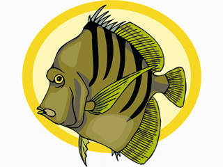 Others fish graphics