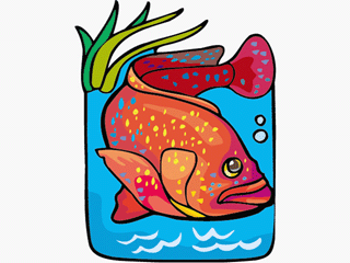 Others fish graphics