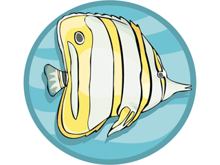 Others fish graphics