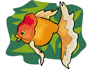 Others fish graphics