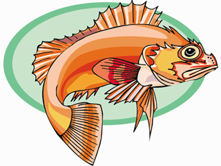 Others fish graphics