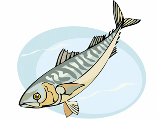 Others fish graphics