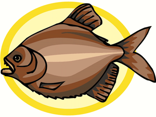 Others fish graphics