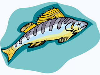 Others fish graphics