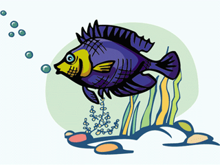 Others fish graphics