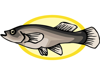 Others fish graphics