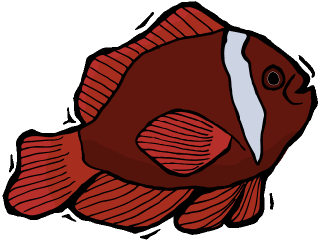 Others fish graphics