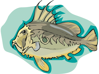 Others fish graphics