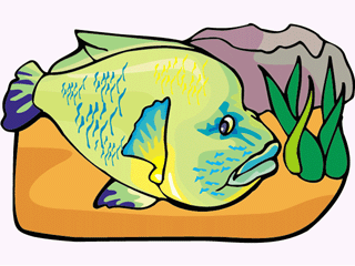 Others fish graphics