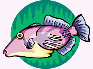 Others fish graphics