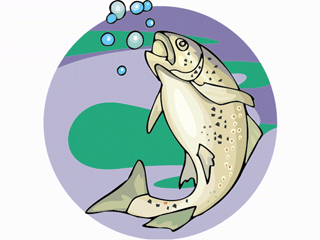 Others fish graphics