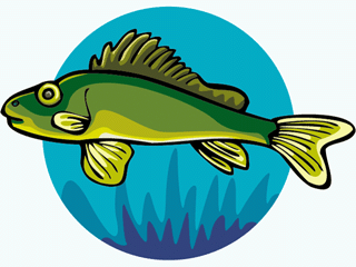 Others fish graphics