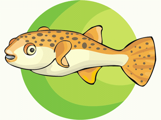 Others fish graphics