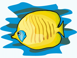 Others fish graphics