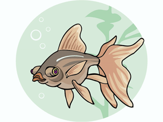 Others fish graphics