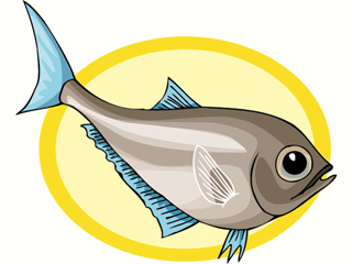 Others fish graphics