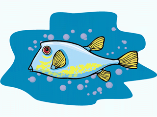 Others fish graphics