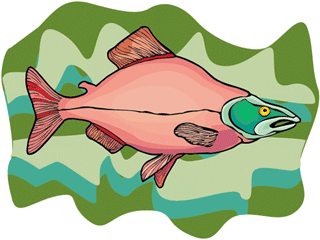 Others fish graphics