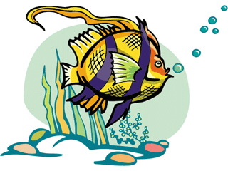 Others fish graphics