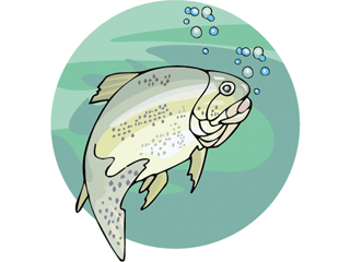 Others fish graphics