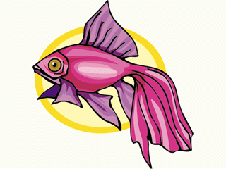 Others fish graphics