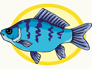 Others fish graphics