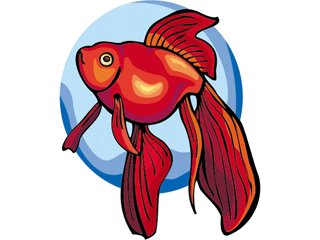 Others fish graphics