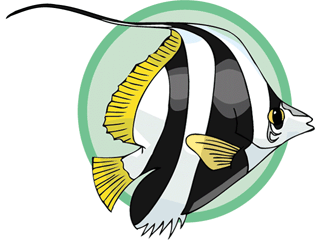 Others fish graphics