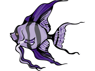 Others fish graphics