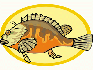 Others fish graphics