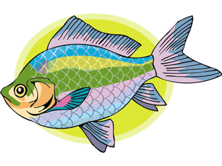 Others fish graphics