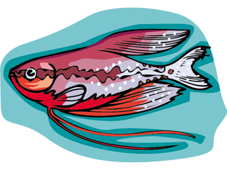 Others fish graphics