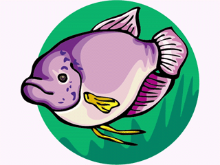 Others fish graphics