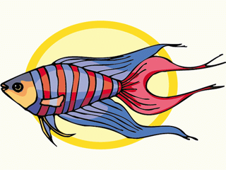 Others fish graphics