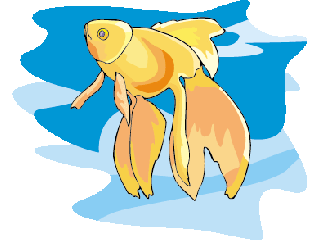 Others fish graphics