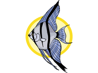 Others fish graphics