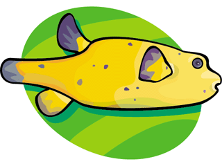 Others fish graphics