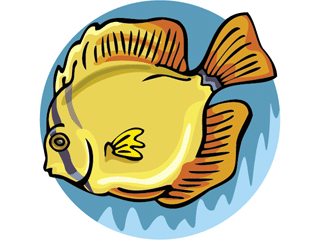 Others fish graphics