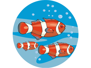 Others fish graphics