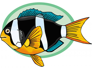 Others fish graphics