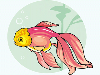 Others fish graphics