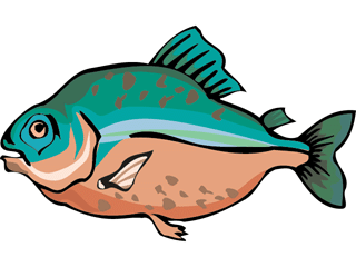 Others fish graphics