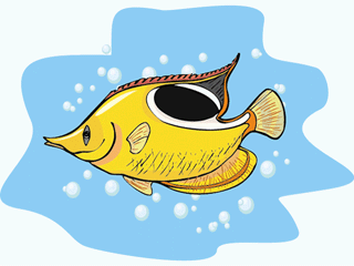 Others fish graphics