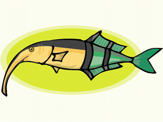 Others fish graphics