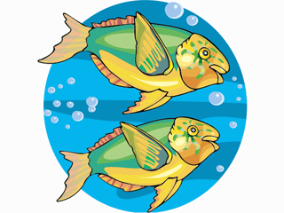 Others fish graphics