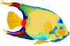 Others fish graphics